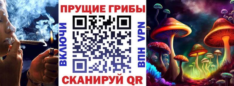 где купить наркоту  Воткинск  Псилоцибиновые грибы Psilocybe 