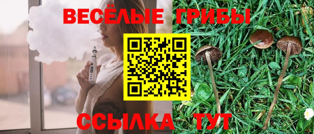 Галлюциногенные грибы прущие грибы Воткинск