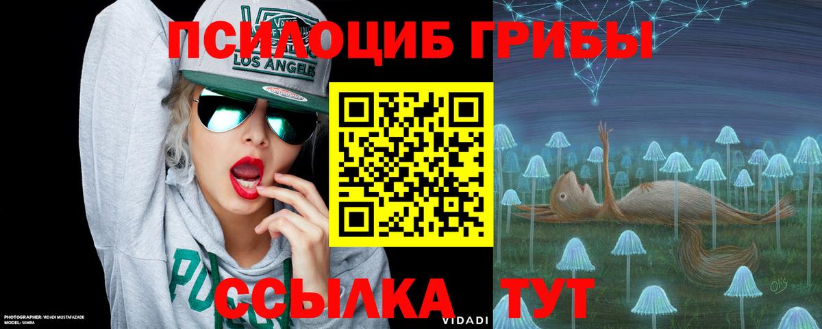 Воткинск  Галлюциногенные грибы ЛСД  Вход с VPN 